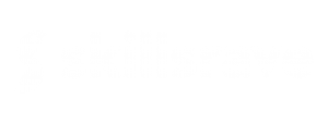 Skillsrave Logo