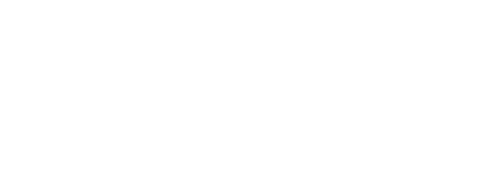 Skillsrave Logo